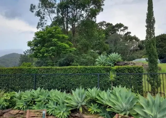 A View Of Mount Warning